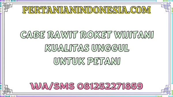 Cabe Rawit Roket Wijitani Kualitas Unggul Untuk Petani